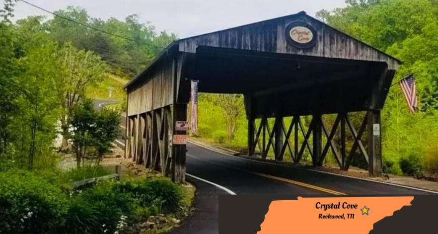 Welcome to Crystal Cove